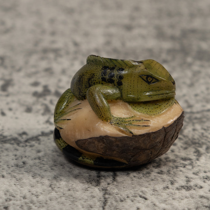 Green And Black Iguana Lizard Tagua Carving
