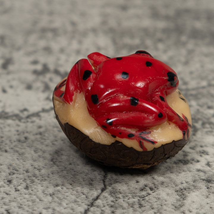 Poison Dart Frog Tagua Carving