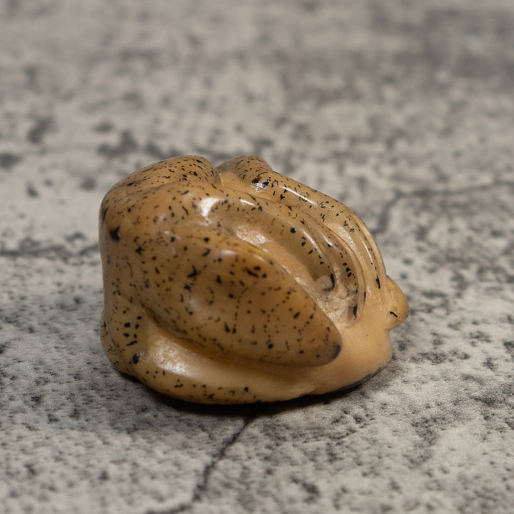 Vintage Gecko Lizard Reptile Tagua Carving