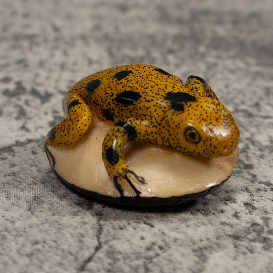 Vintage Gold And Black Frog Tagua Carving