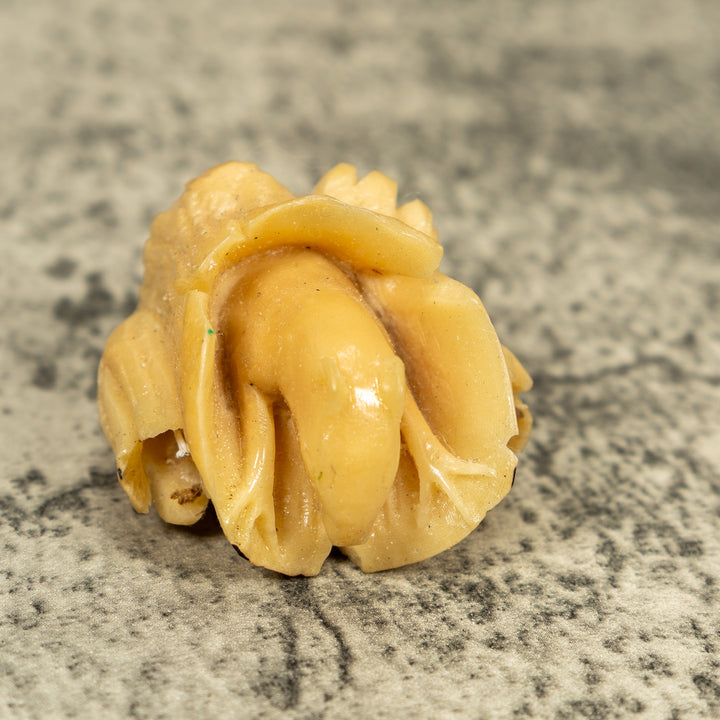 Natural White Neque Agouti And Wood Log Tagua Carving