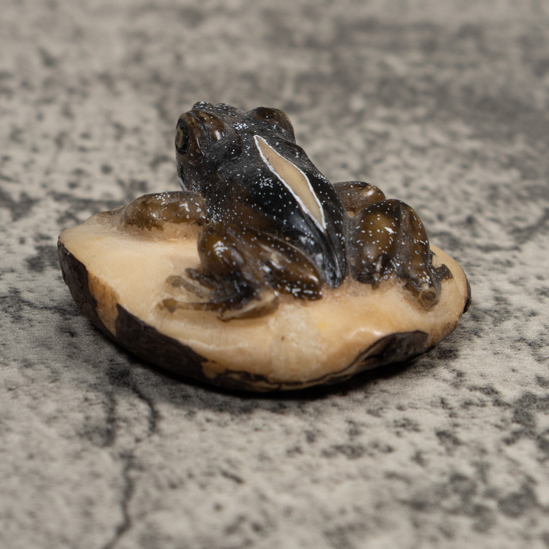 Brown Poison Dart Frog Tagua Carving