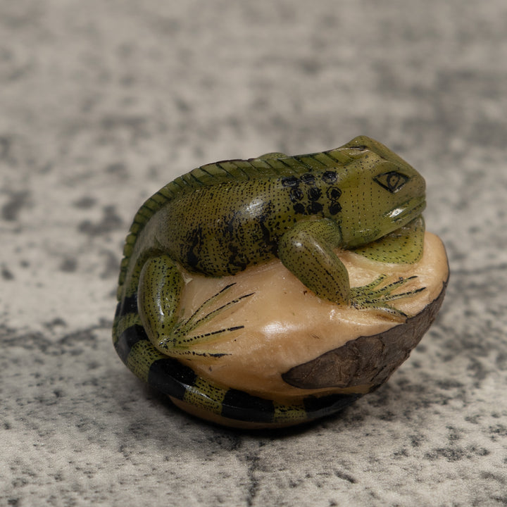 Green And Black Iguana Lizard Tagua Carving