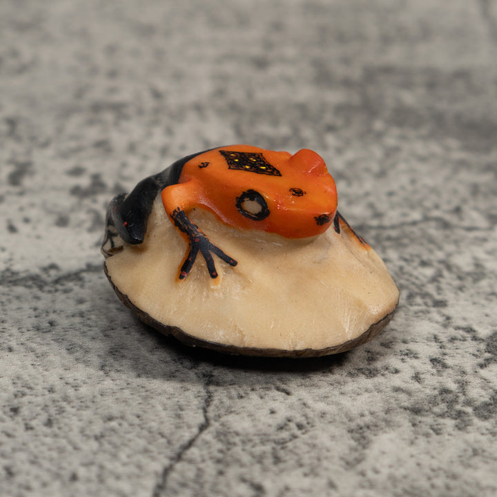 Vintage Orange And Black Poison Dart Frog Tagua Carving