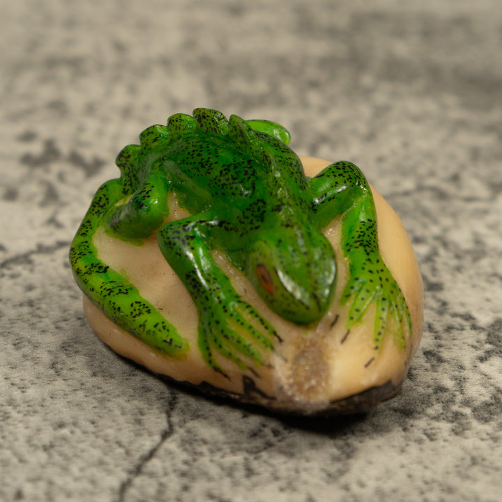 Vintage Iguana Lizard Reptile Tagua Carving