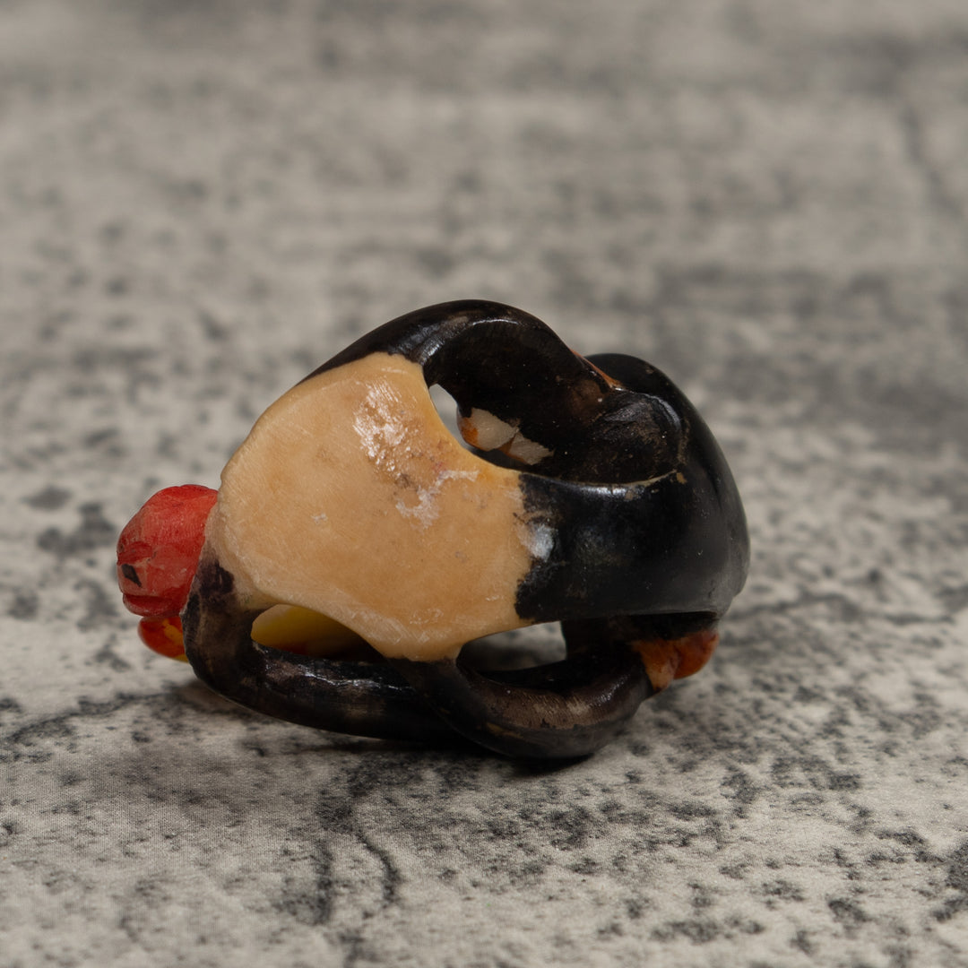 Vintage Toucan Parrot Bird Tagua Carving