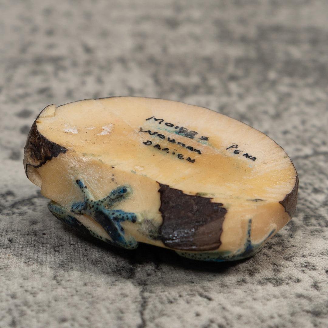 Vintage Blue And Black Poison Dart Frog Tagua Carving