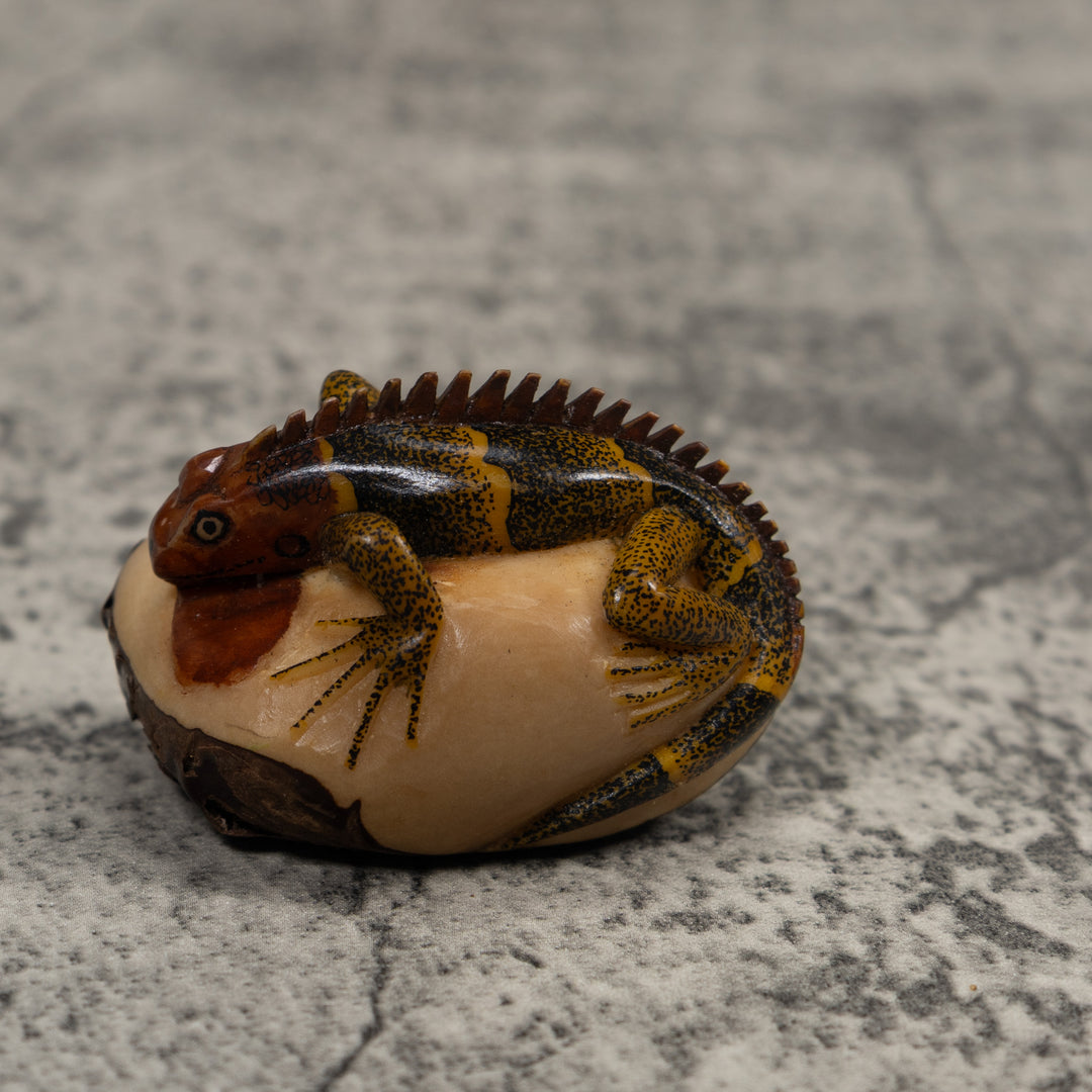 Iguana Lizard Reptile Tagua Carving