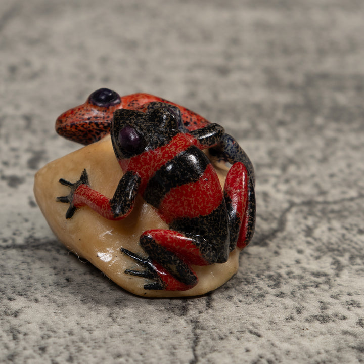 Vintage Red And Black Double Poison Dart Frog Tagua Carving
