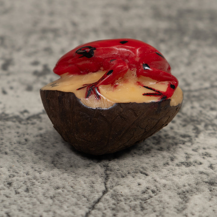 Poison Dart Frog Tagua Carving