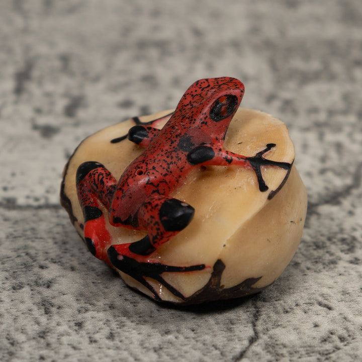 Black And Red Frog Tagua Carving