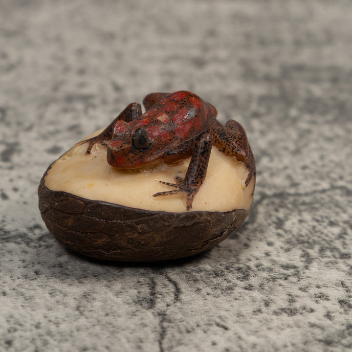 Red And Black Poison Dart Frog Tagua Carving