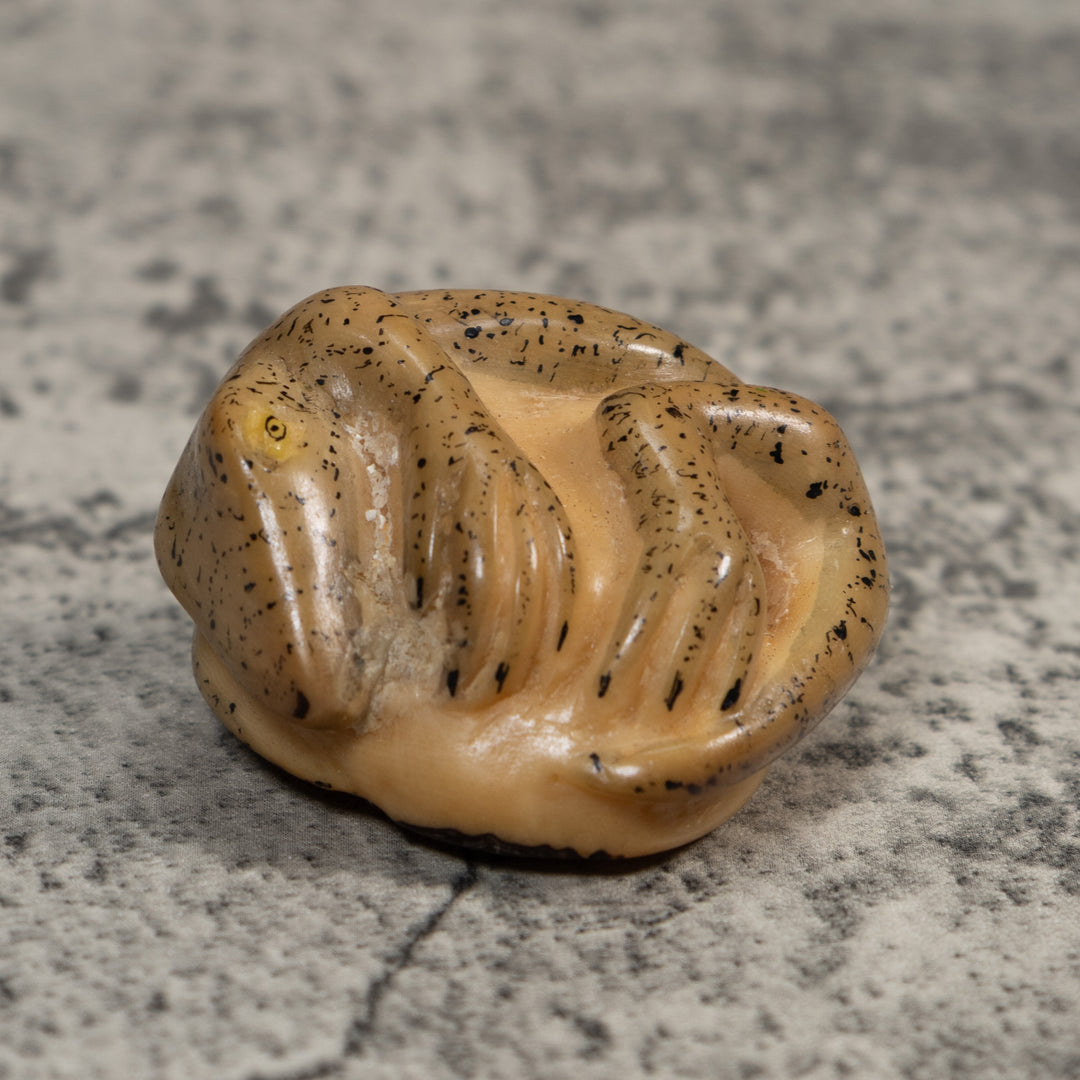 Vintage Gecko Lizard Reptile Tagua Carving