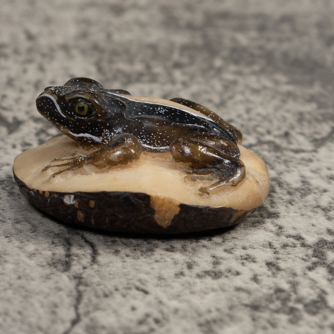 Brown Poison Dart Frog Tagua Carving