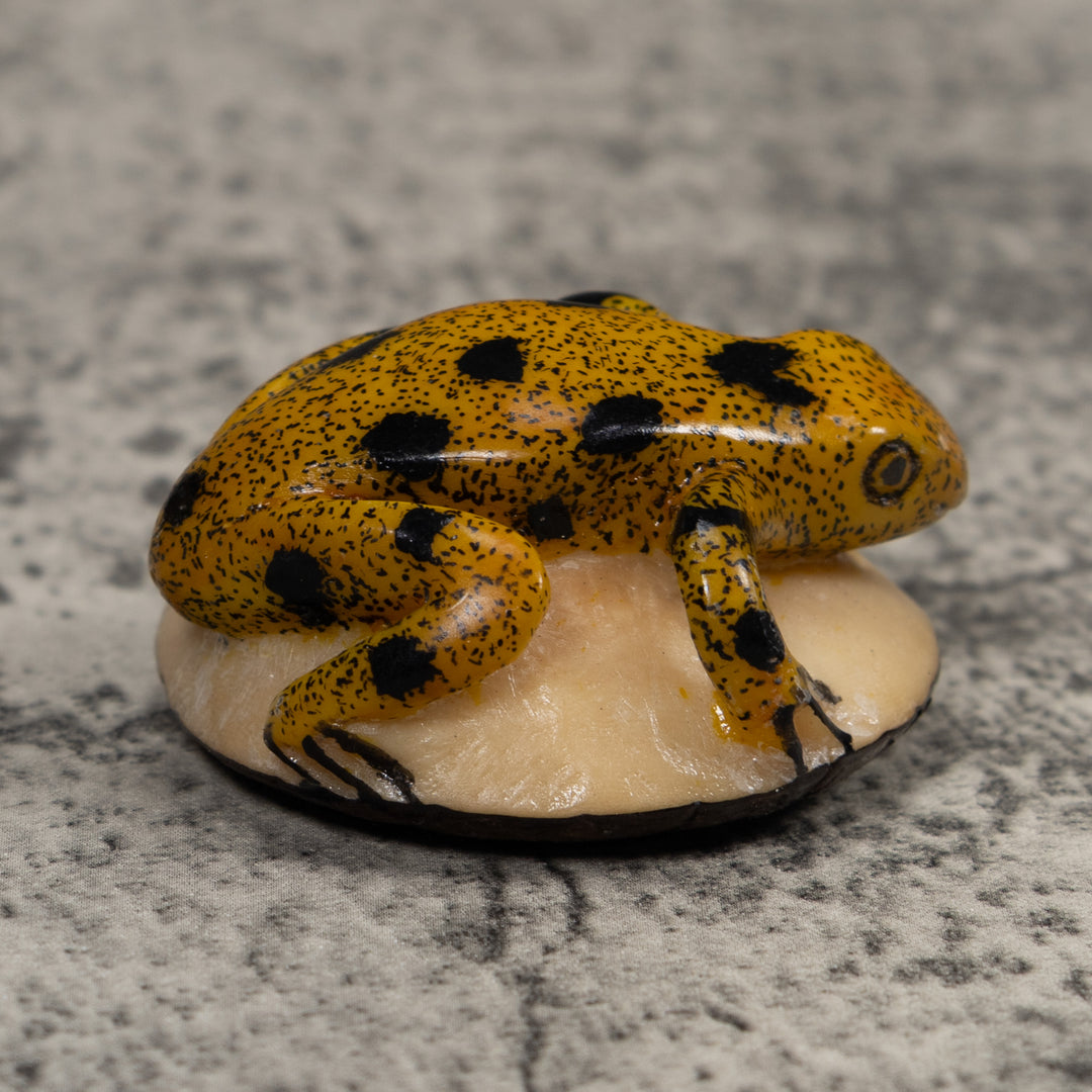 Vintage Gold And Black Frog Tagua Carving