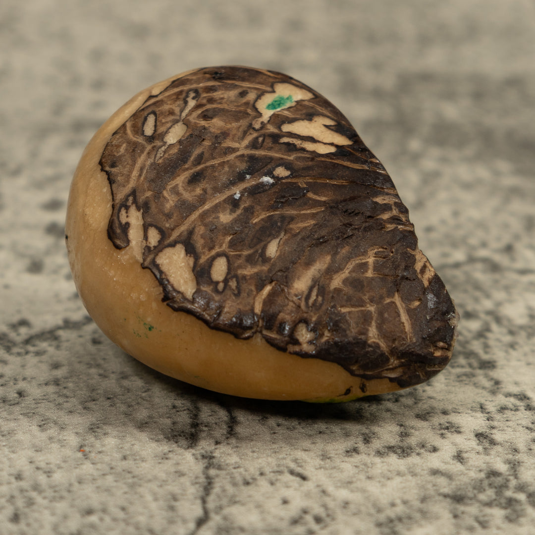 Vintage Iguana Lizard Reptile Tagua Carving