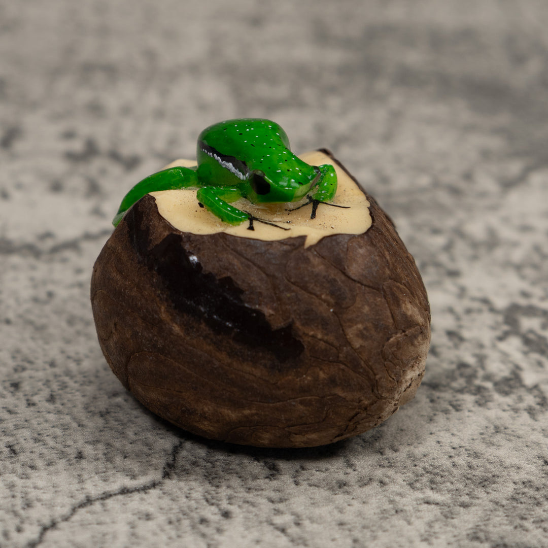 Vintage Green And Black Poison Dart Frog Tagua Carving