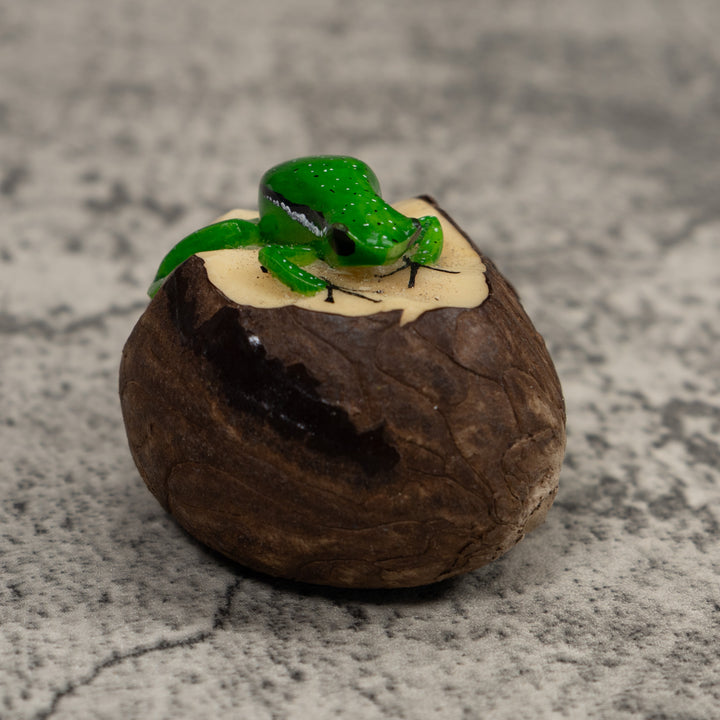 Vintage Green And Black Poison Dart Frog Tagua Carving