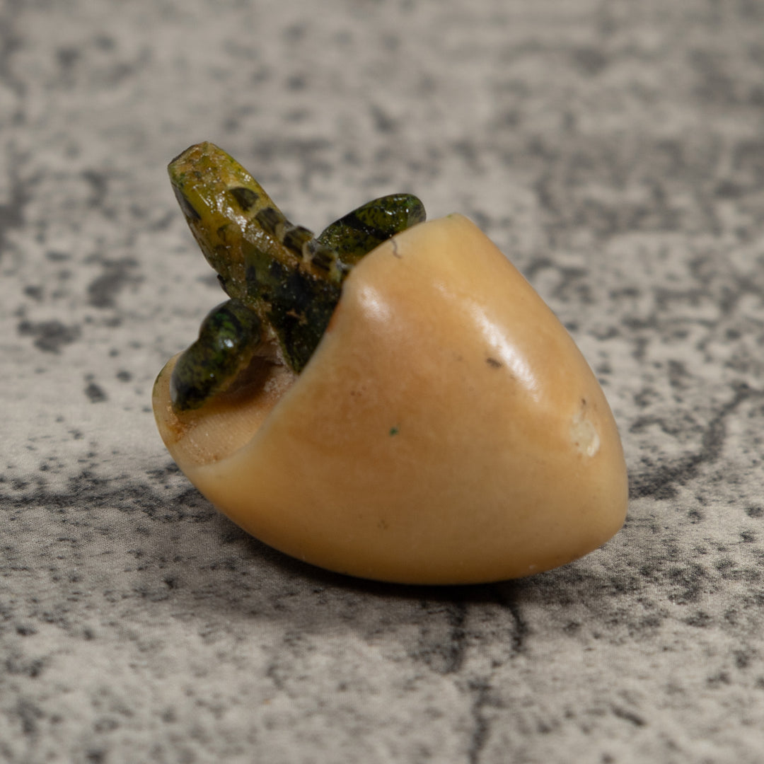 Vintage Iguana Emerging Egg Tagua Carving