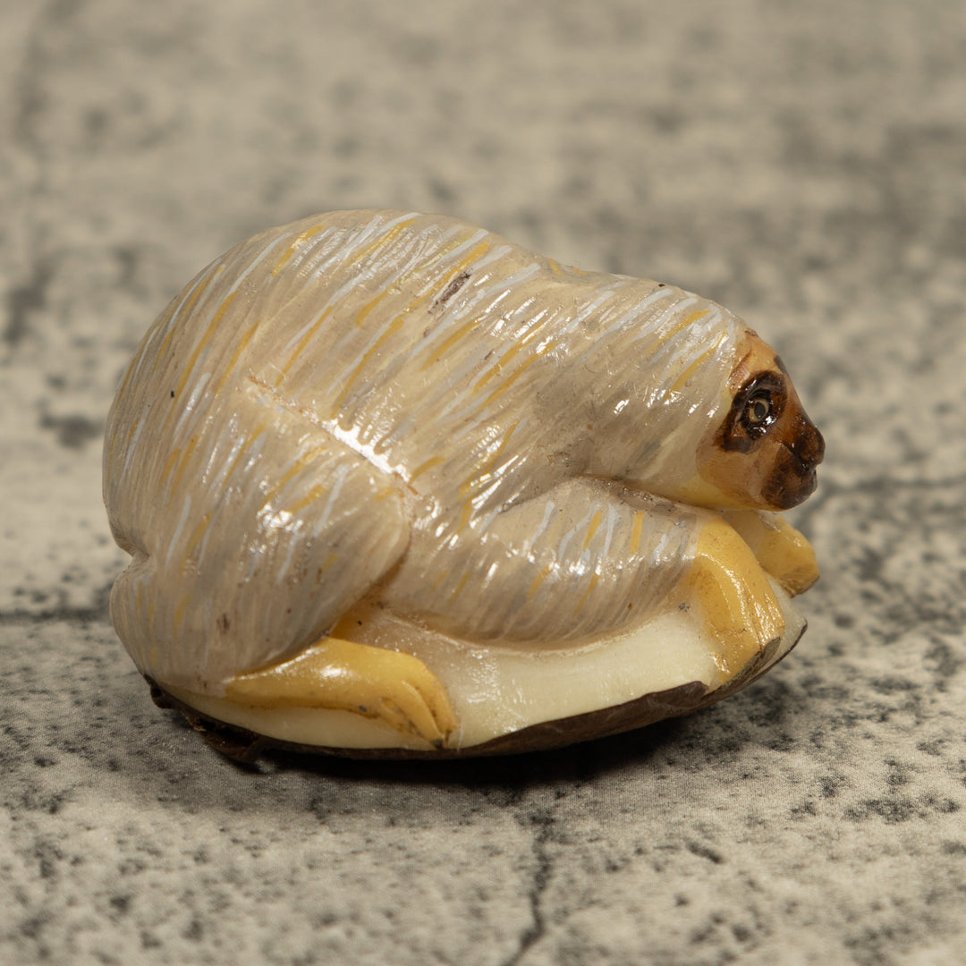 Gray Brown Sloth Tagua Carving