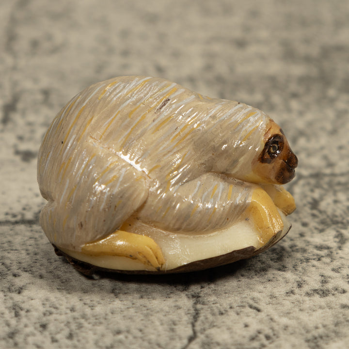 Gray Brown Sloth Tagua Carving