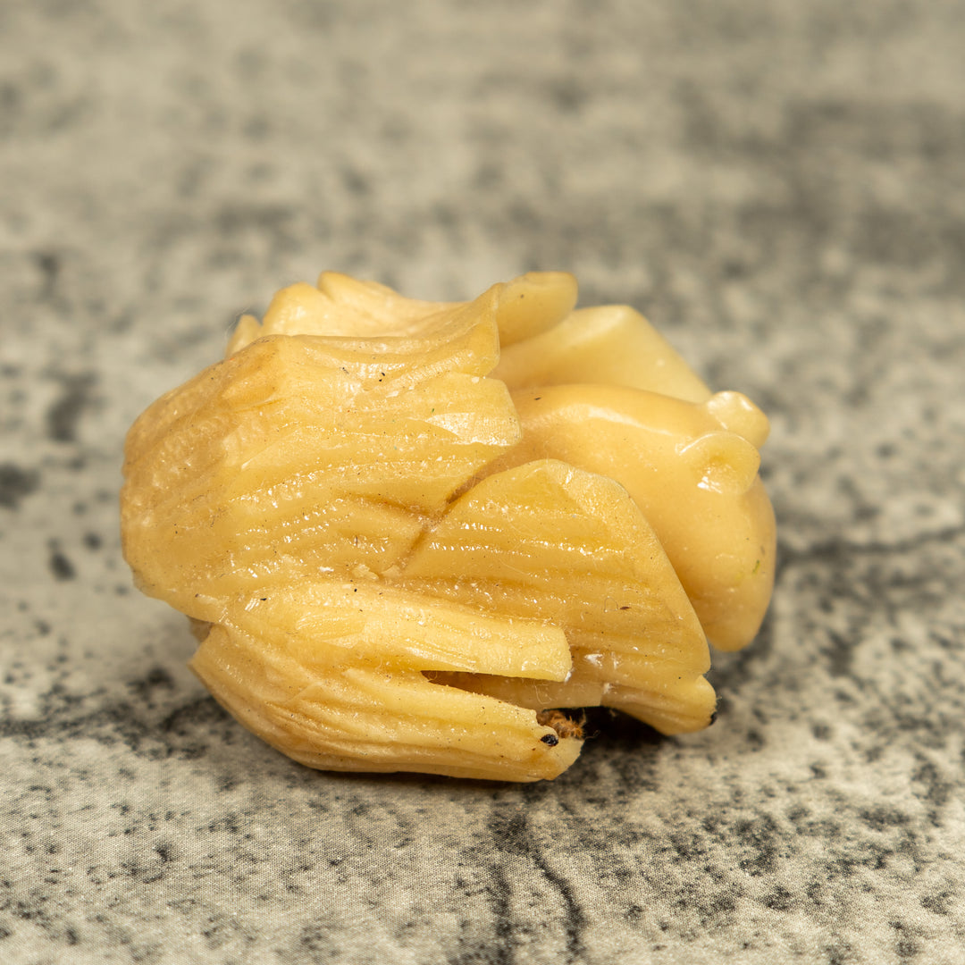 Natural White Neque Agouti And Wood Log Tagua Carving