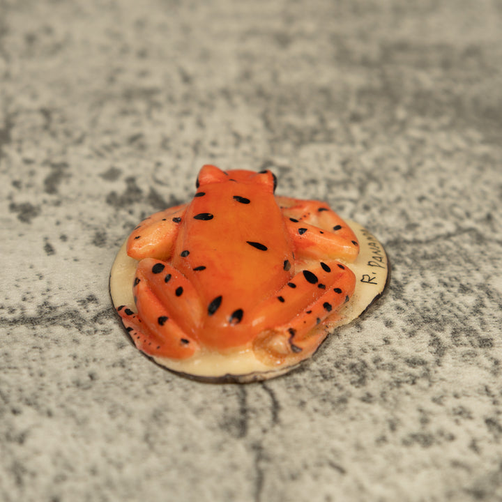 Orange Jungle Frog Tagua Carving