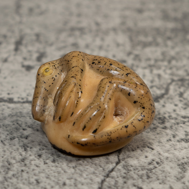 Vintage Gecko Lizard Reptile Tagua Carving