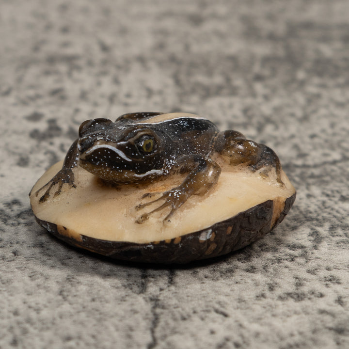 Brown Poison Dart Frog Tagua Carving