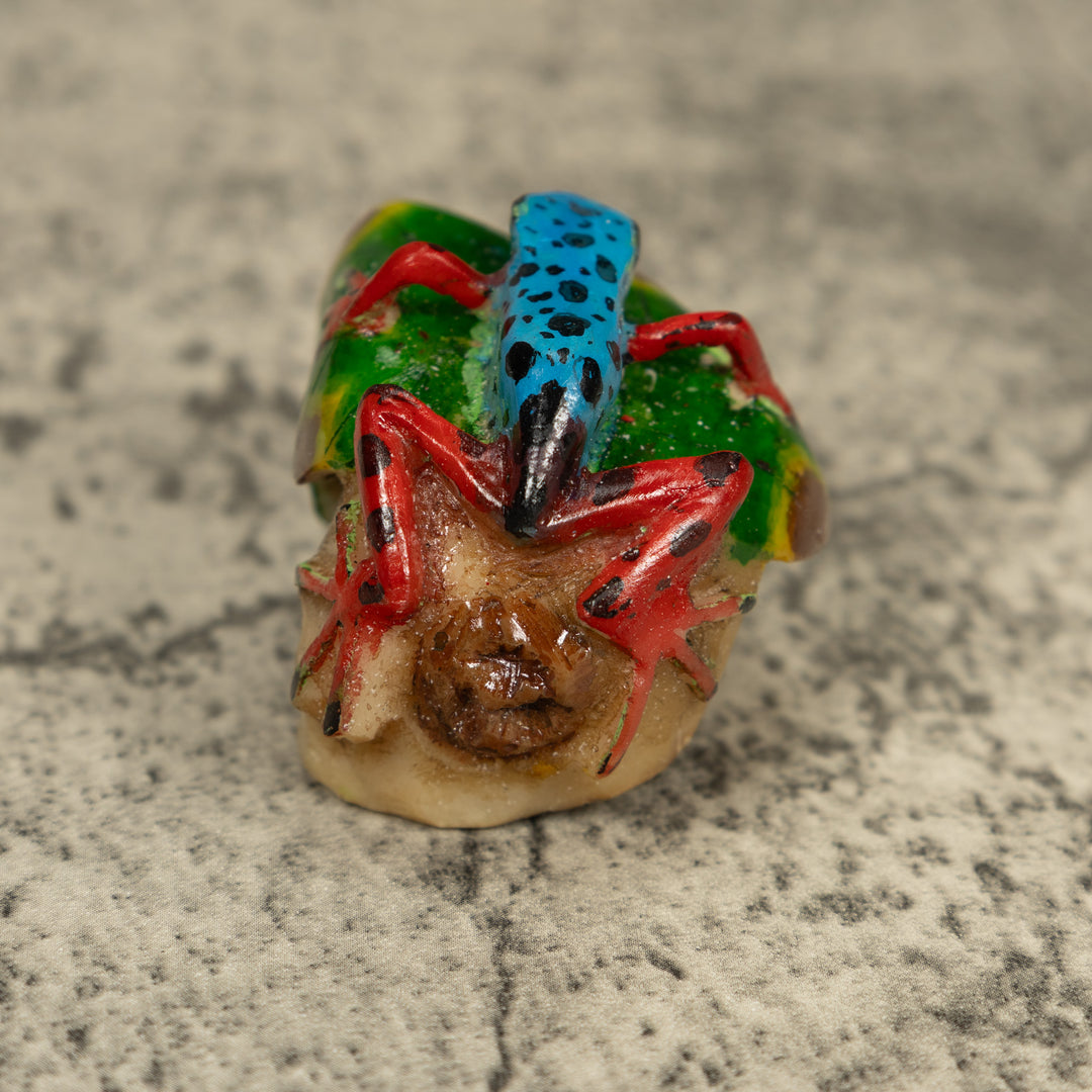 Black Blue And Red Poison Dart Frog Tagua Carving