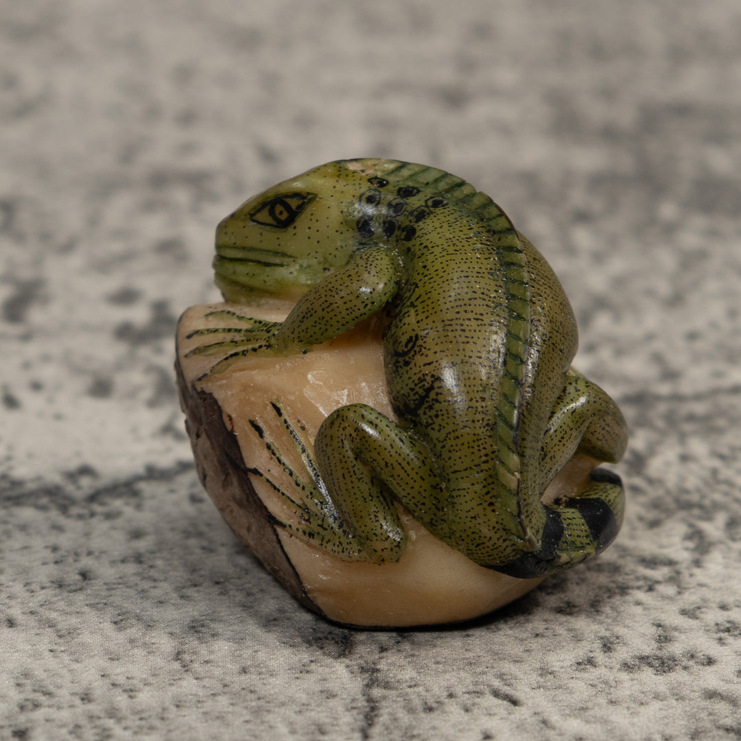 Green And Black Iguana Lizard Tagua Carving
