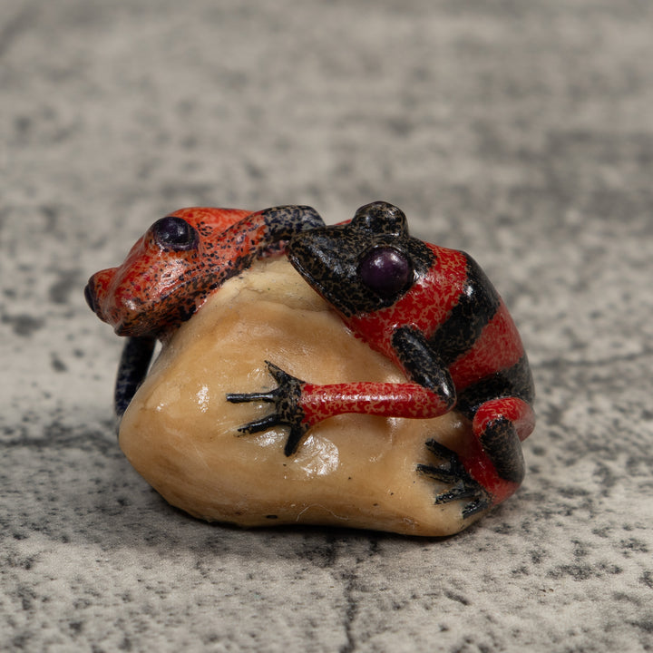 Vintage Red And Black Double Poison Dart Frog Tagua Carving
