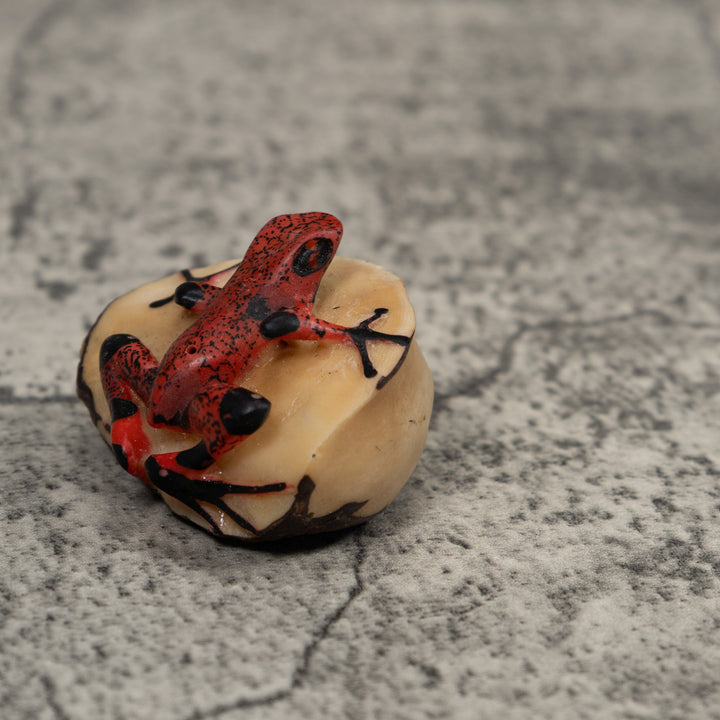 Black And Red Frog Tagua Carving