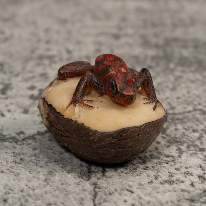 Red And Black Poison Dart Frog Tagua Carving