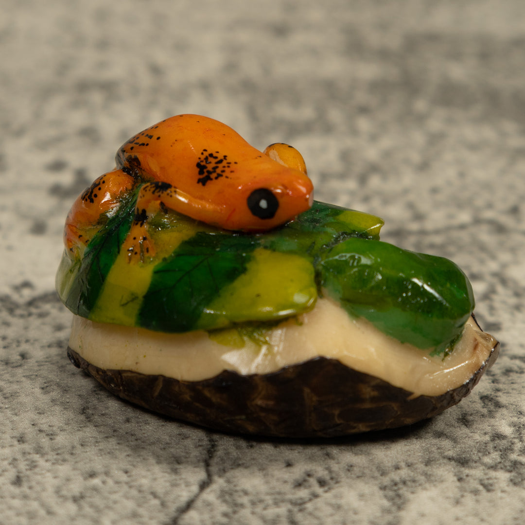 Gold And Black Tropical Frog Tagua Carving