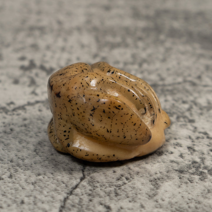 Vintage Gecko Lizard Reptile Tagua Carving