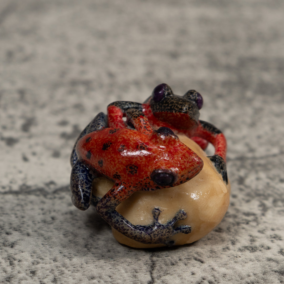 Vintage Red And Black Double Poison Dart Frog Tagua Carving