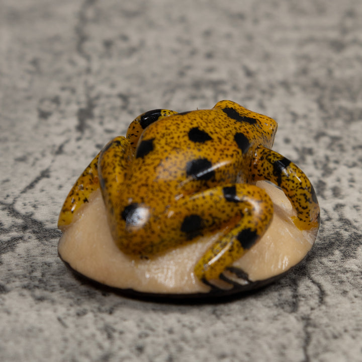 Vintage Gold And Black Frog Tagua Carving