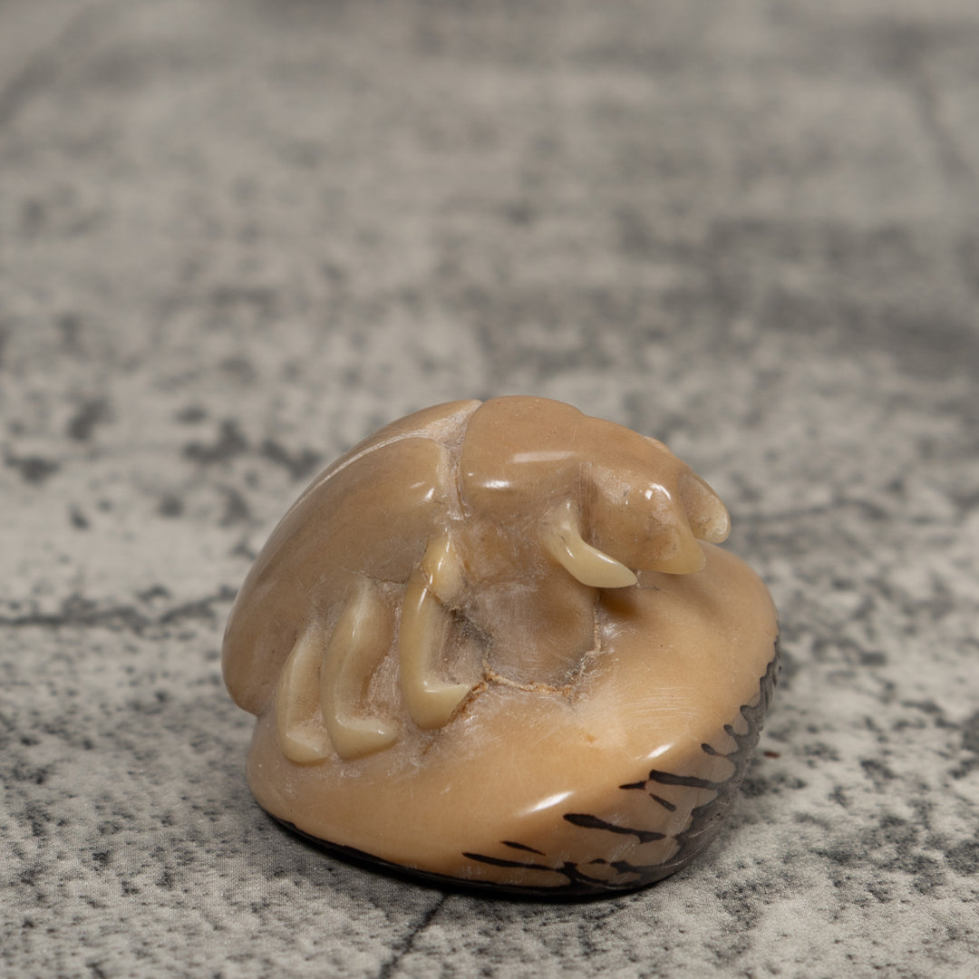 Vintage White Natural Insect Tagua Carving