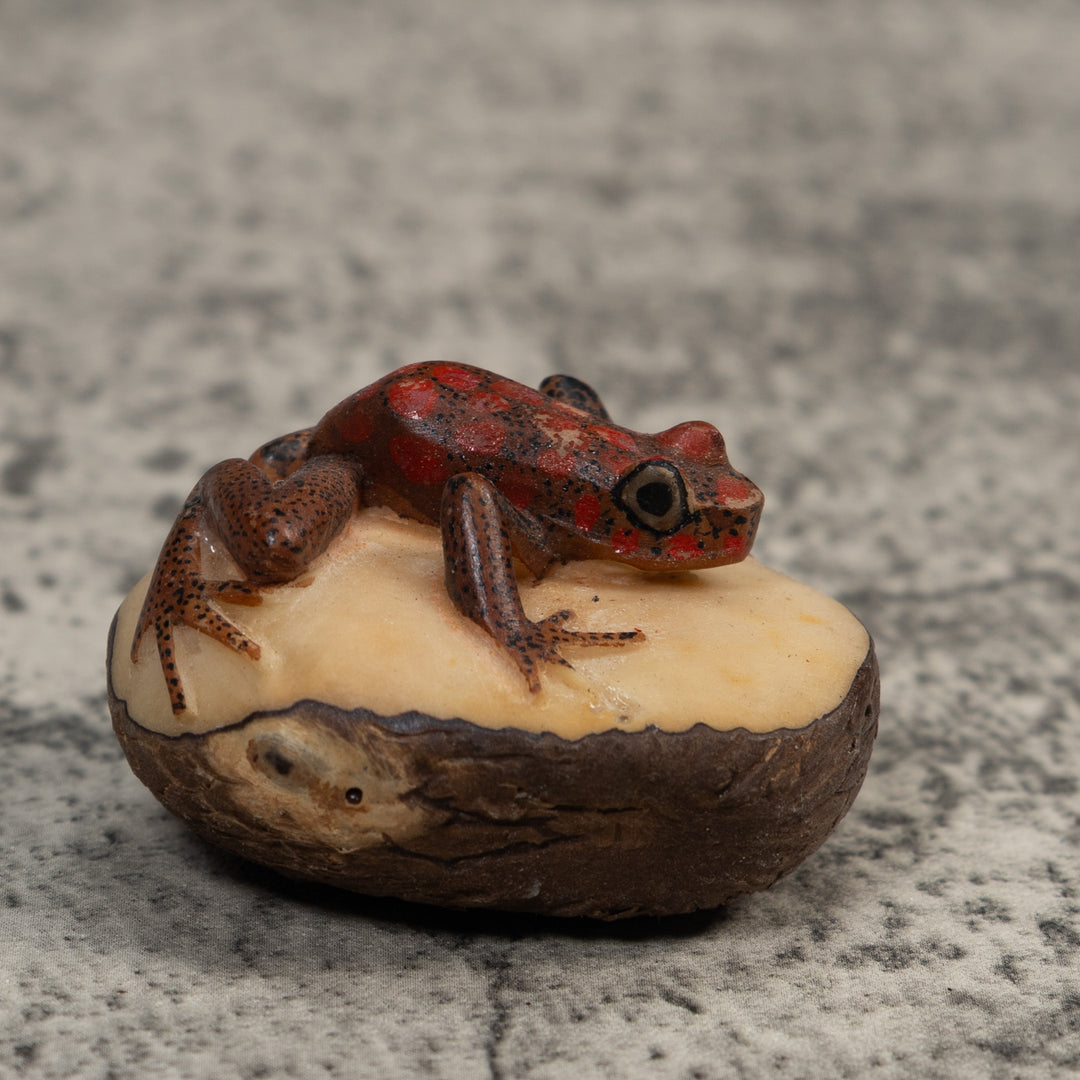 Red And Black Poison Dart Frog Tagua Carving
