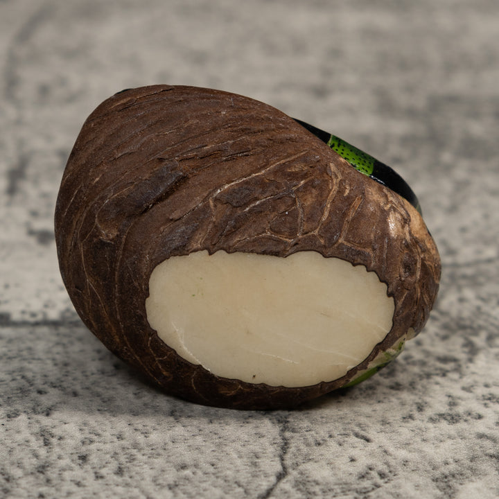 Green And Black Iguana Lizard Tagua Carving