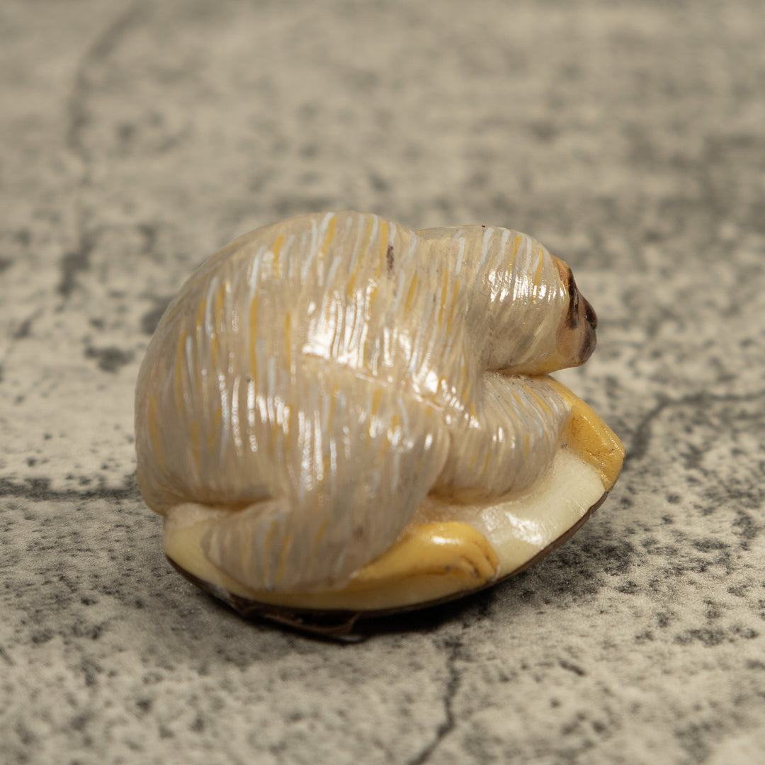 Gray Brown Sloth Tagua Carving