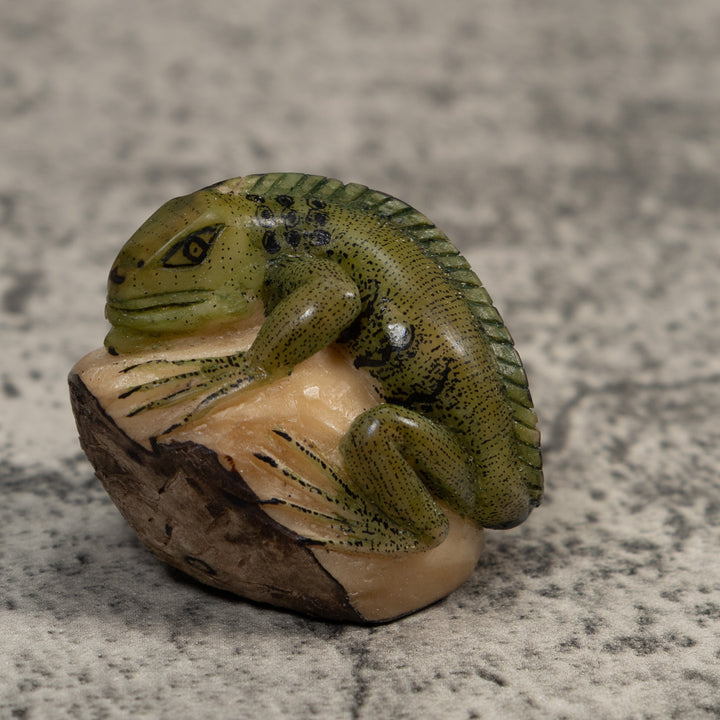 Green And Black Iguana Lizard Tagua Carving