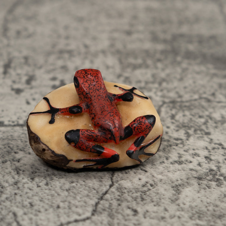 Black And Red Frog Tagua Carving