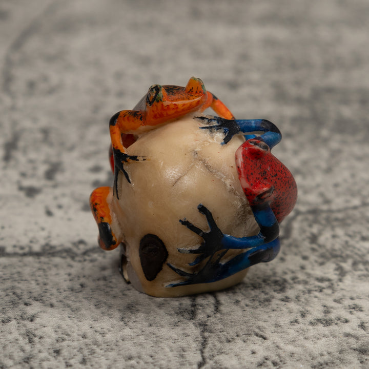 Double Poison Dart Frog Tagua Carving