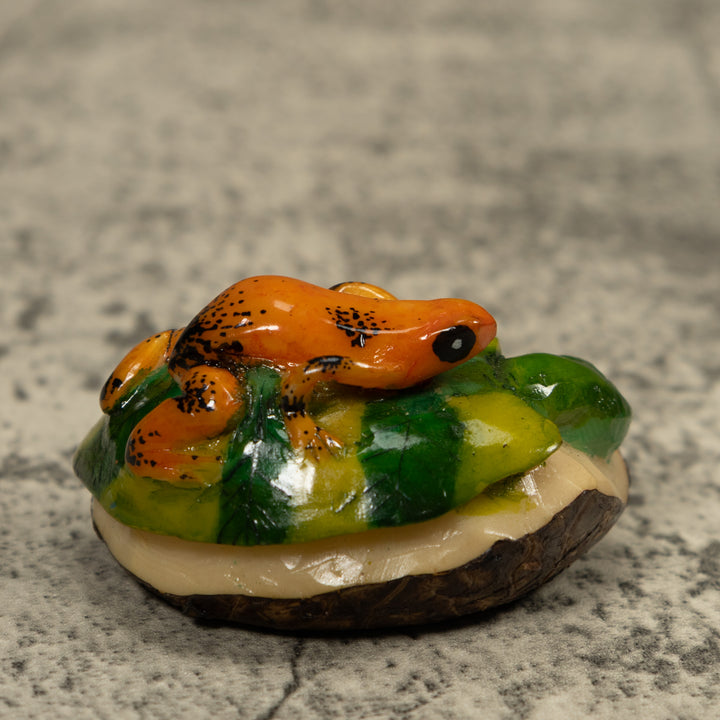 Gold And Black Tropical Frog Tagua Carving