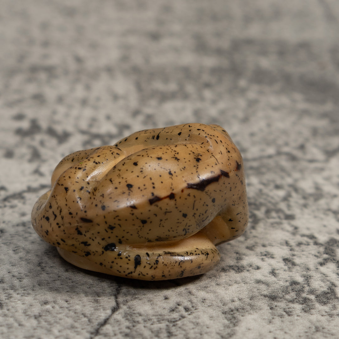 Vintage Gecko Lizard Reptile Tagua Carving