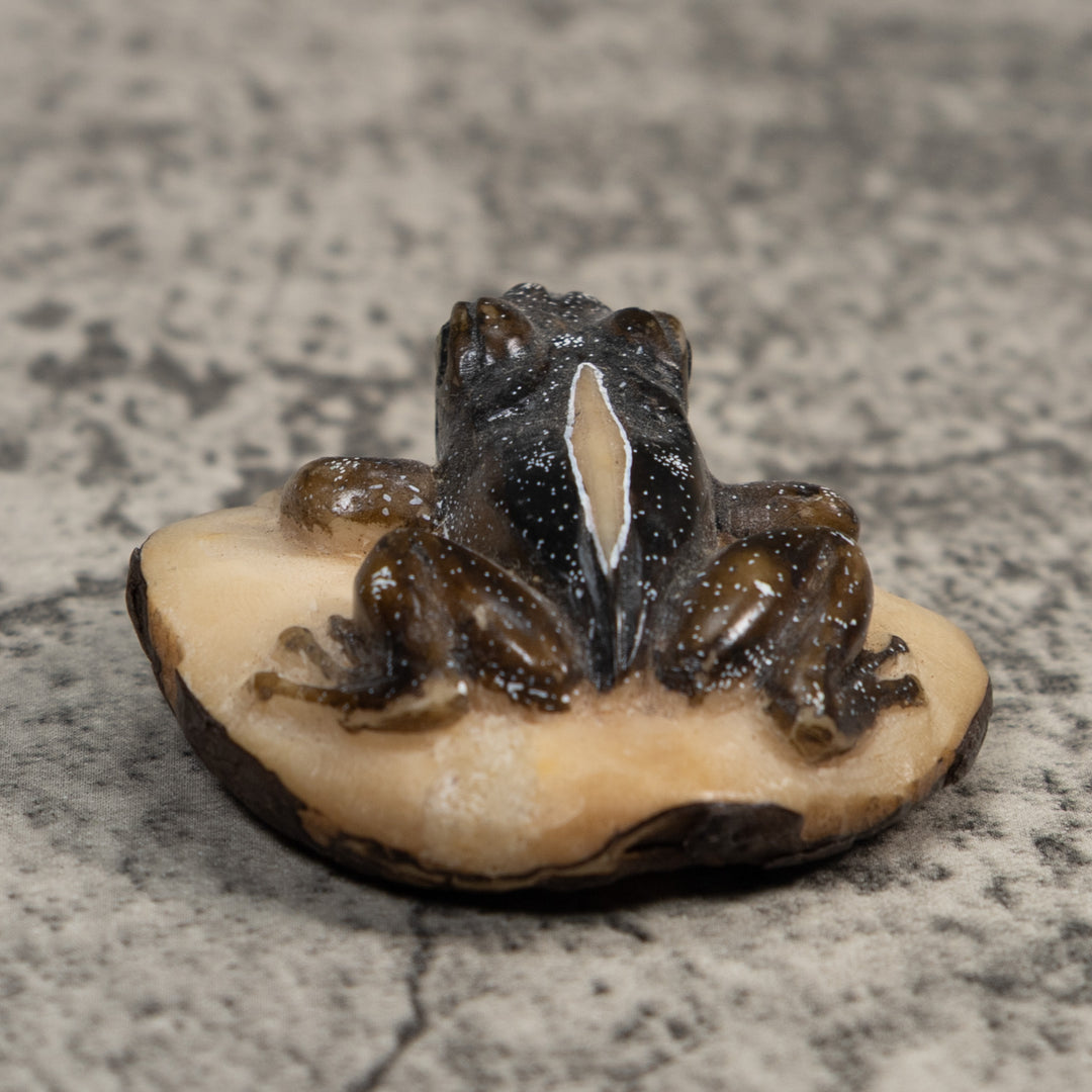 Brown Poison Dart Frog Tagua Carving