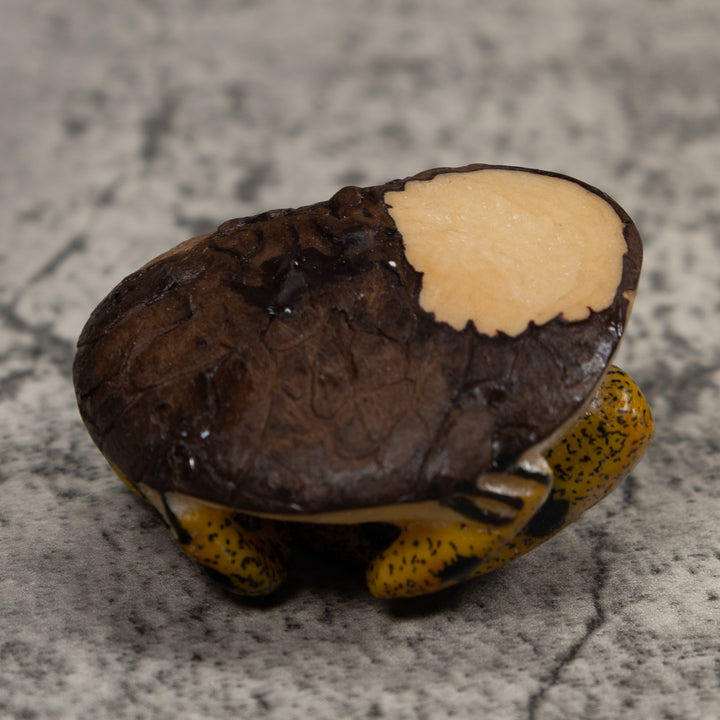 Vintage Gold And Black Frog Tagua Carving