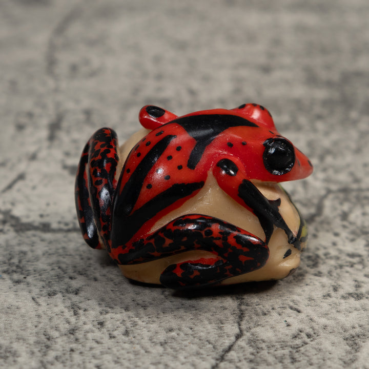 Vintage Red Green And Black Poison Dart Frog Tagua Carving